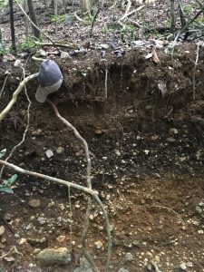 Buried soil