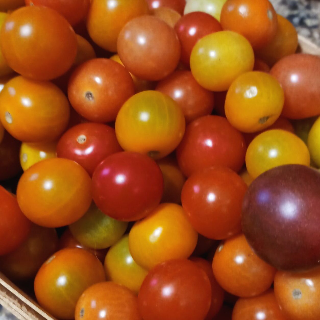 close-up photo of basket of yellow, orange, red, and purple cherry tomatoes